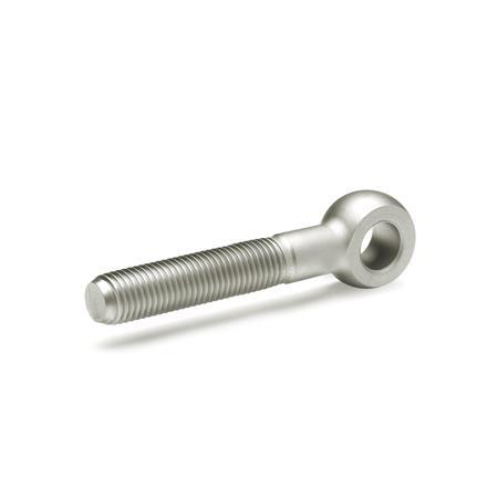 Otto Ganter Stainless Steel Swing Bolt with Long Threaded Bolt, GN 1524